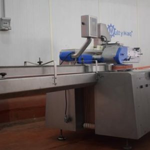 MAQUINA PARA POSICIONAR O COLOCAR SALCHICHAS EN BANDEJAS REF 1151 - Imagen 8