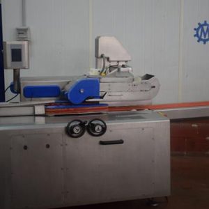 MAQUINA PARA POSICIONAR O COLOCAR SALCHICHAS EN BANDEJAS REF 1151 - Imagen 9