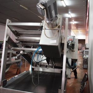 LONCHEADORA/FILETEADORA/FILETERA MARCA WEBER MODELO CCS 7000 ,REF 1634 - Imagen 11
