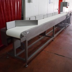 CLASIFICADORA DE JAMÓN; REF: 2121 - Imagen 4