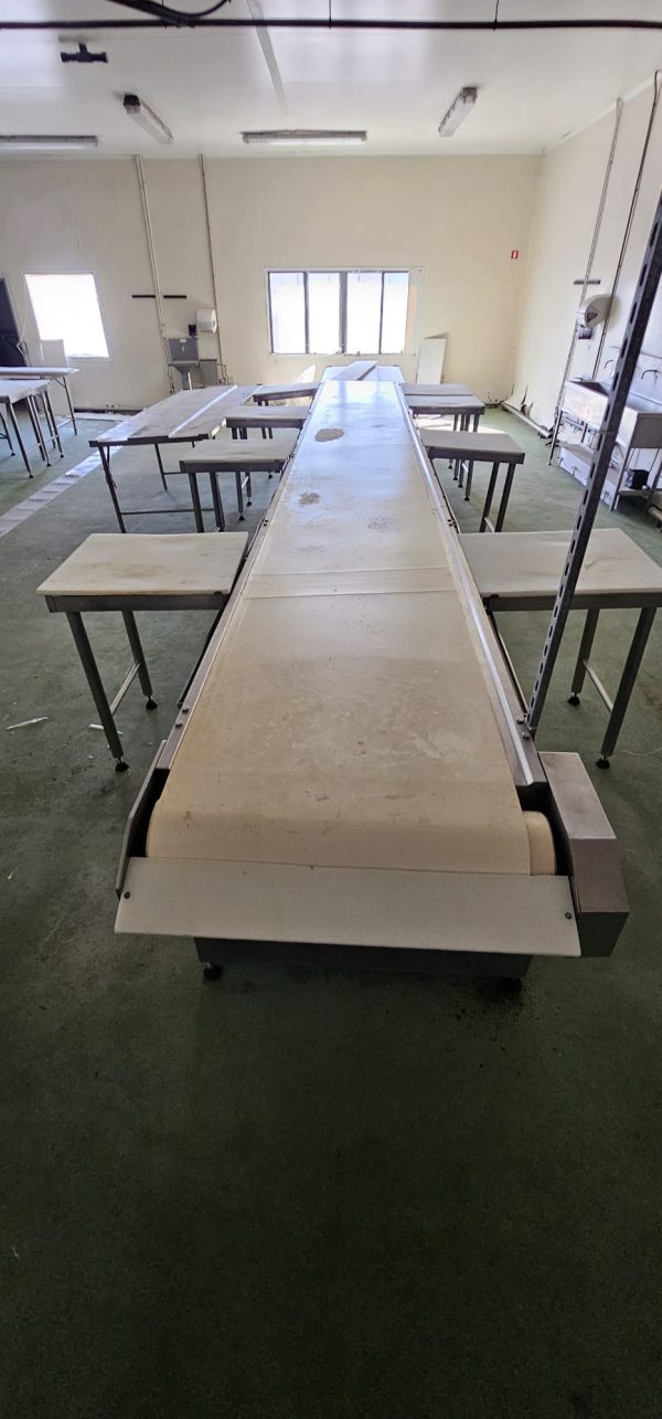 CINTA DE DESPIECE CON PUESTOS DE TRABAJO REF: 2417