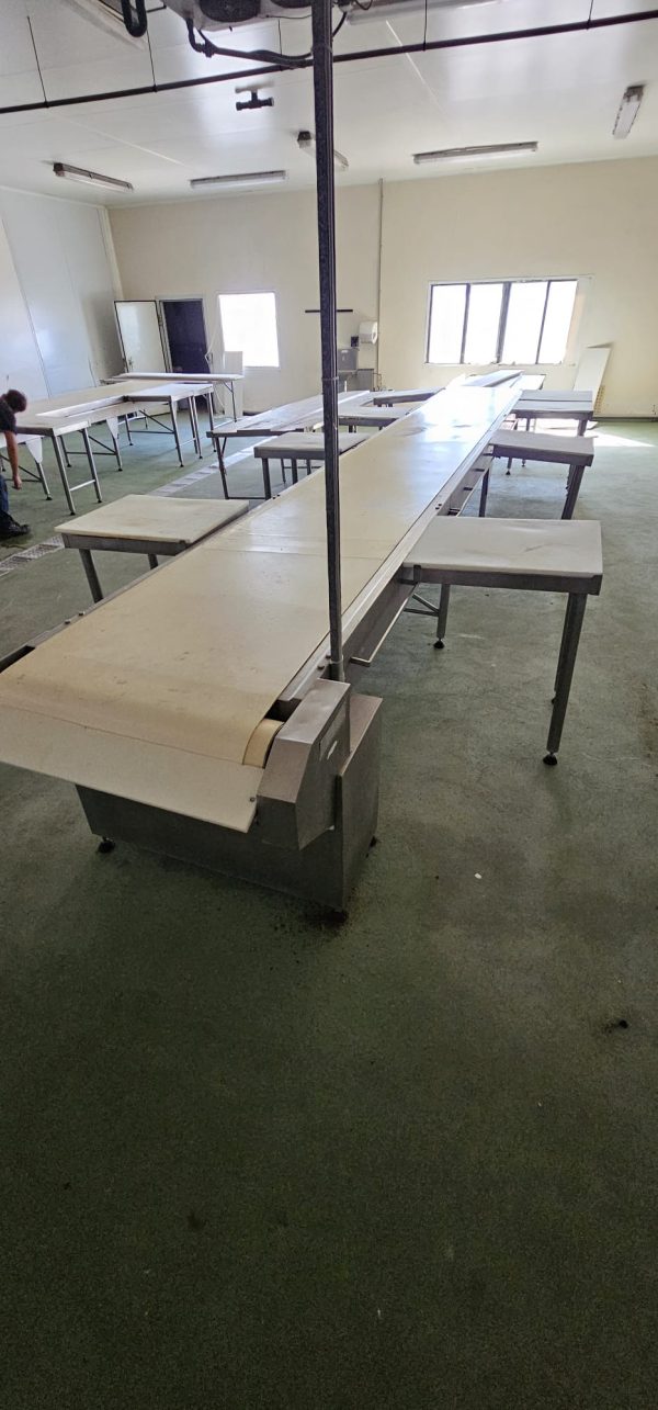 CINTA DE DESPIECE CON PUESTOS DE TRABAJO REF: 2417