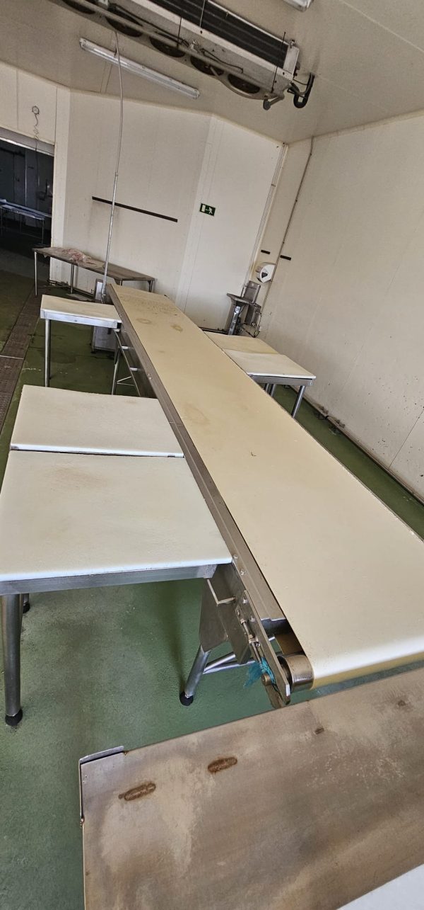 CINTA DE DESPIECE CON PUESTOS DE TRABAJO REF: 2418