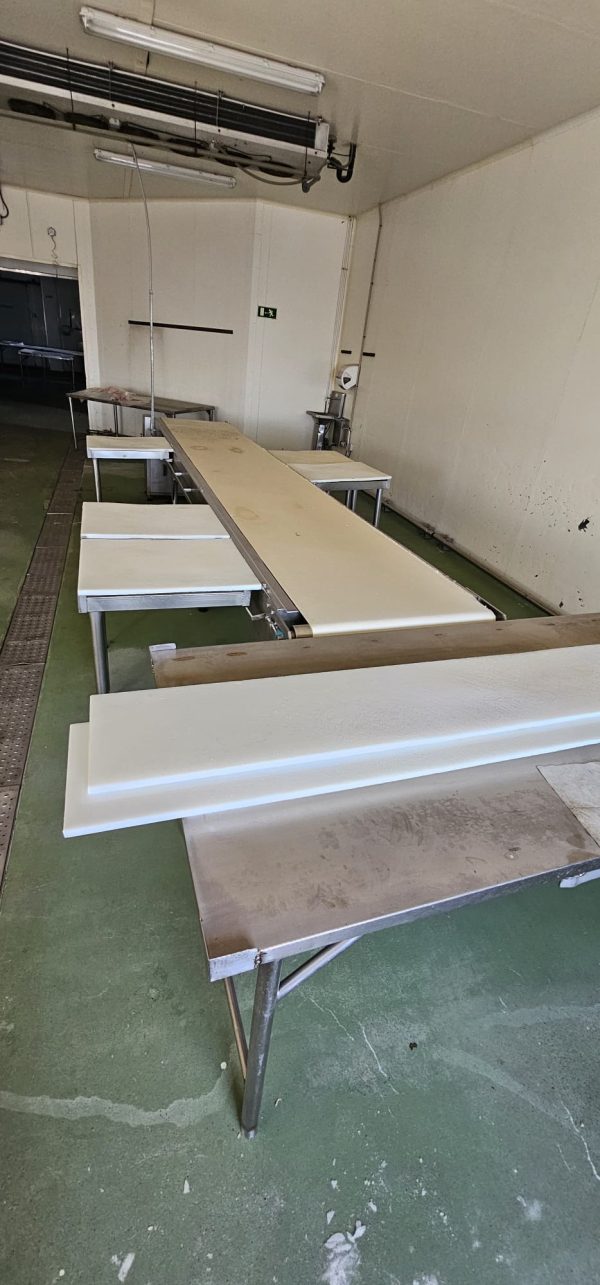 CINTA DE DESPIECE CON PUESTOS DE TRABAJO REF: 2418