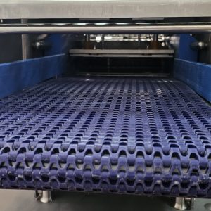 FILETERA/FILETEADORA/LONCHEADORA GRASSELLI NSL 400 REF: 9088 - Imagen 5